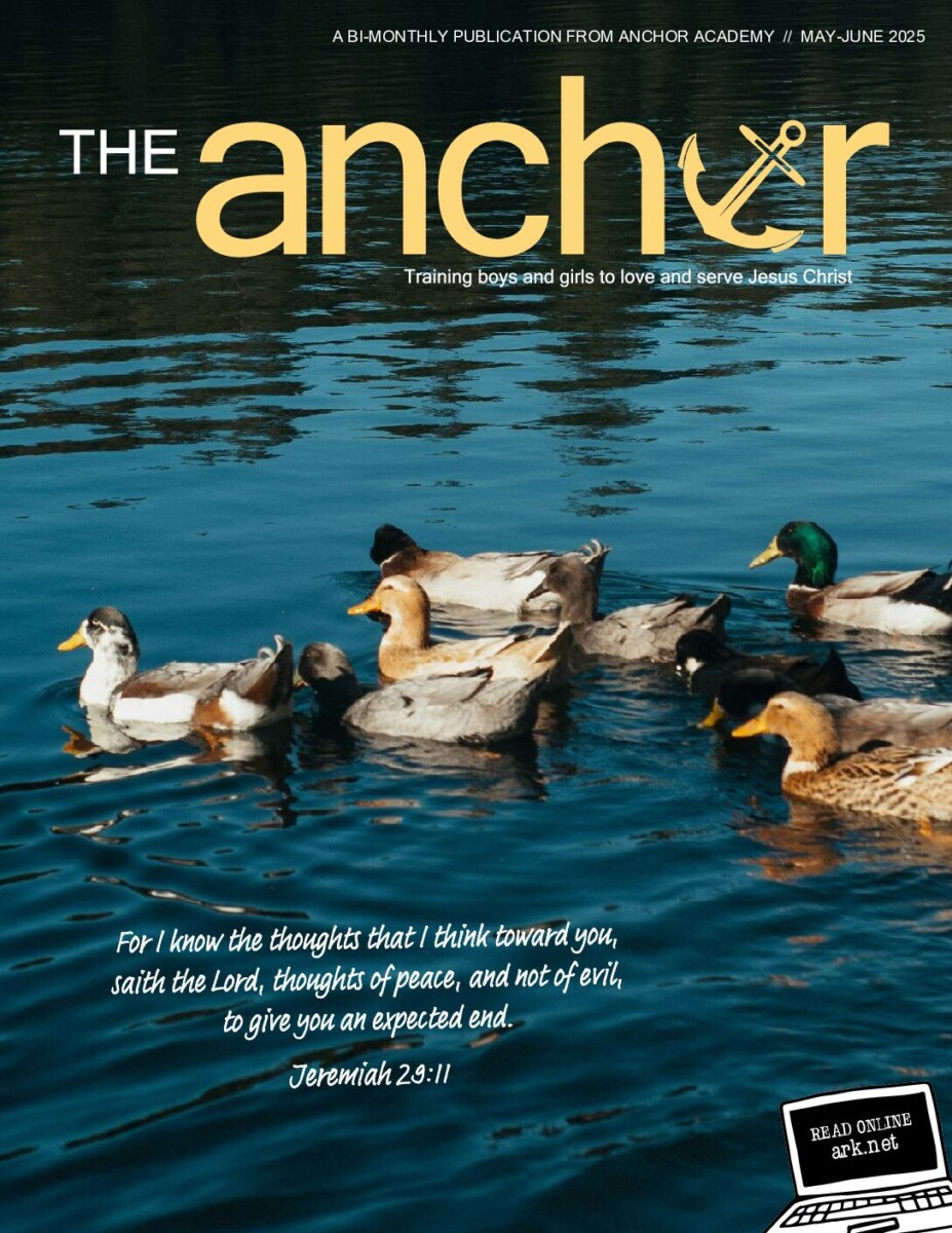 Anchor May-June 2025